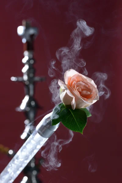 Vízipipa és rose — Stock Fotó