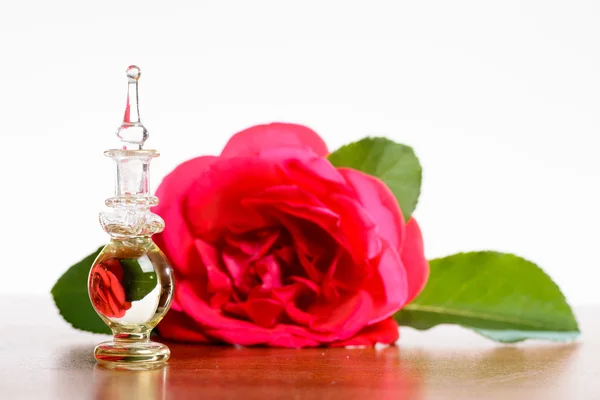 Rose in der Flasche — Stockfoto