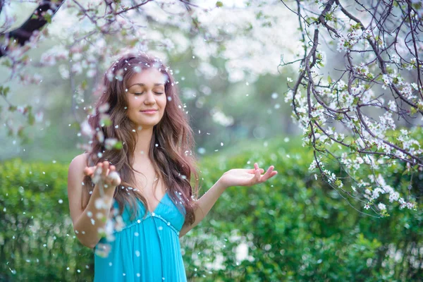 Blommande våren — Stockfoto