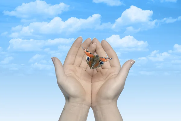 The Butterfly in your hands — Stock Photo, Image