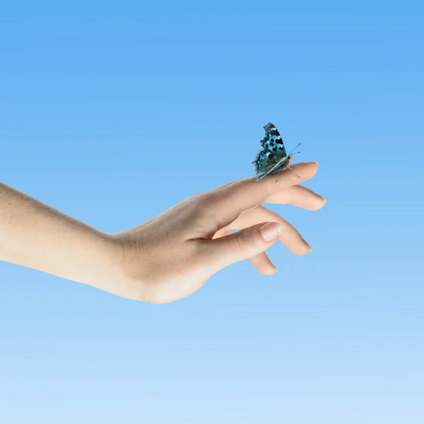 Small hand releasing butterflies ,flying dreams — Stock Photo