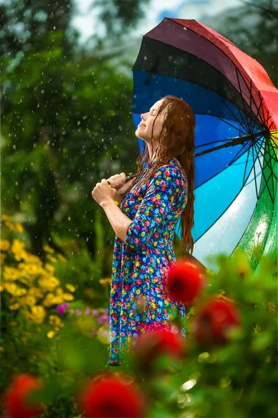 Summer rain — Stock Photo, Image