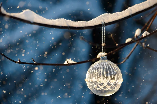 Boule de Noël sur branche — Photo