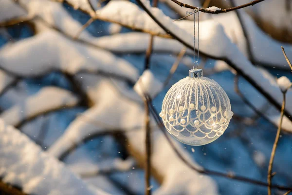 Christmas ball på gren — Stockfoto