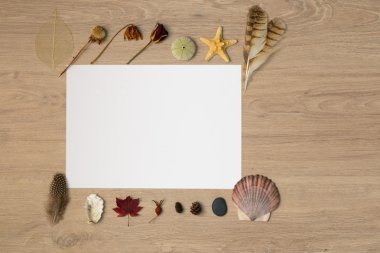 Doğa güzellikleri duvar kağıdı