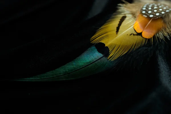 Fondo de plumas brillantes —  Fotos de Stock