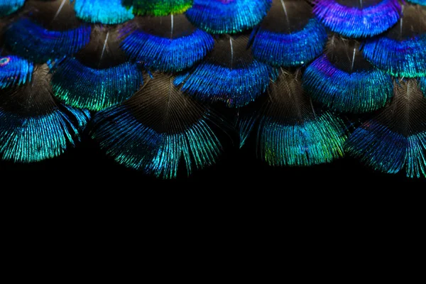 Ljusa fjädrar bakgrund — Stockfoto