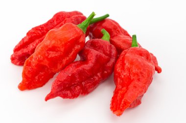 Bhut jolokia - chilli yılan