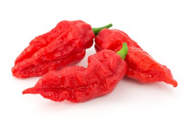 Bhut jolokia - chilli yılan