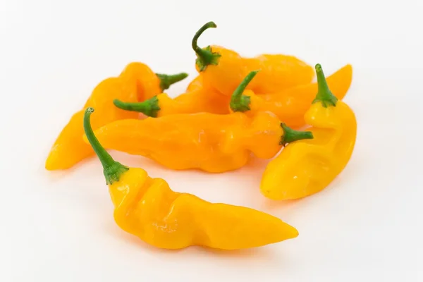 Peruanische Chilischote — Stockfoto