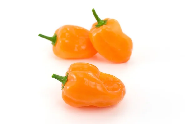 ハバネロ オレンジ — ストック写真