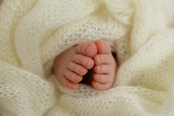 yeni doğmuş bebek ayakları beyaz battaniyeye sarılmış