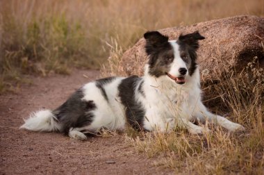 Kenar kömür ocağı oldukça oturan