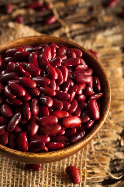 Syrové červené organické fazole — Stock fotografie
