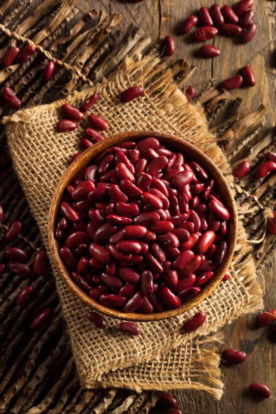 Frijoles rojos orgánicos crudos — Foto de Stock