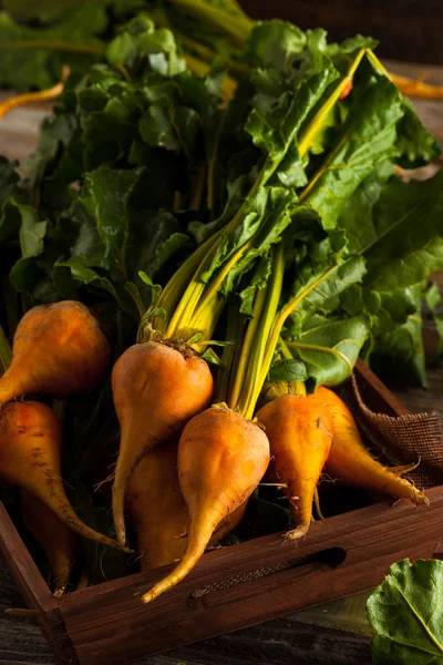 Rauwe biologische gouden Beets — Stockfoto