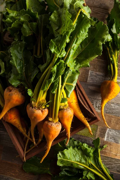 Rauwe biologische gouden Beets — Stockfoto