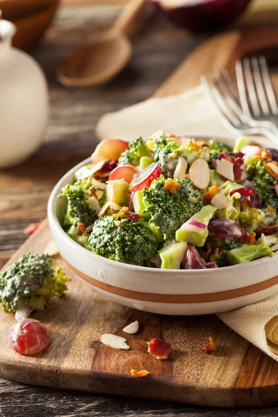 Ensalada de brócoli verde casera — Foto de Stock