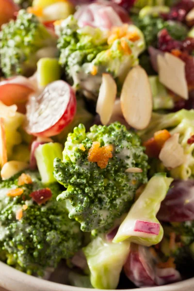 Ensalada de brócoli verde casera —  Fotos de Stock