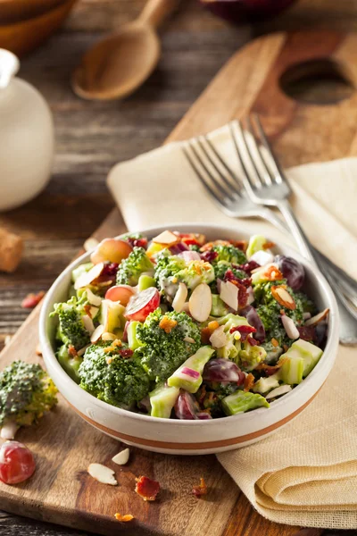 Salada de brócolis verde caseiro — Fotografia de Stock