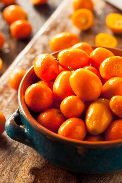 Surové organické oranžové Kumquats — Stock fotografie