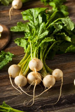 Ham organik beyaz turp