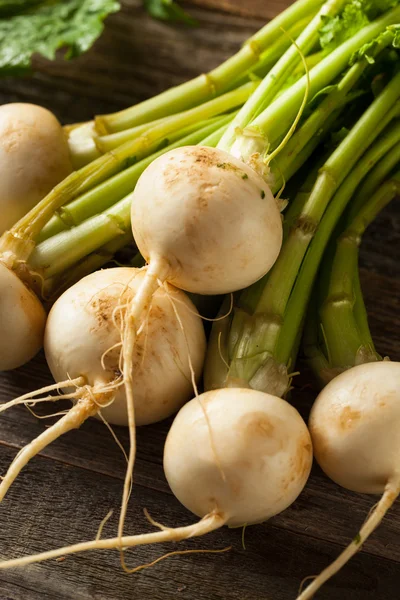 Raw Organic White Radishes — Stock Photo, Image