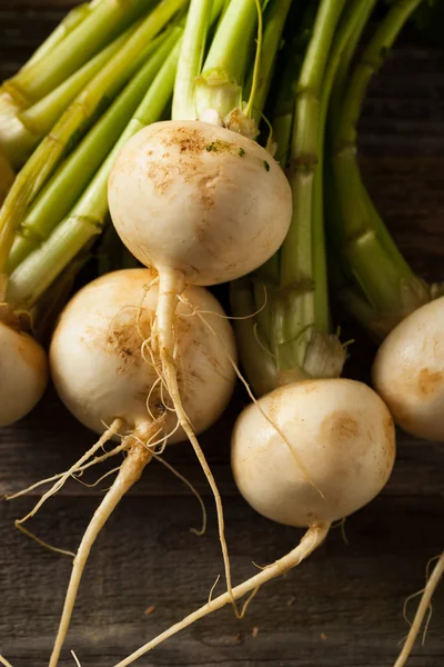 Raw Organic White Radishes — Stock Photo, Image