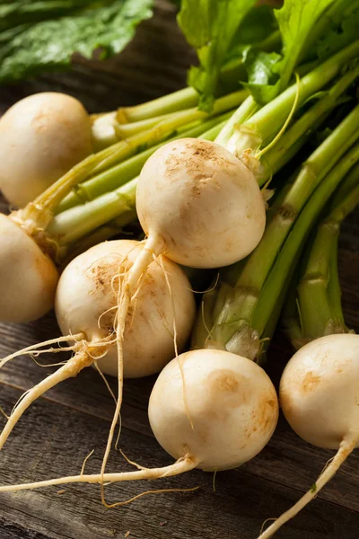 Raw Organic White Radishes — Stock Photo, Image