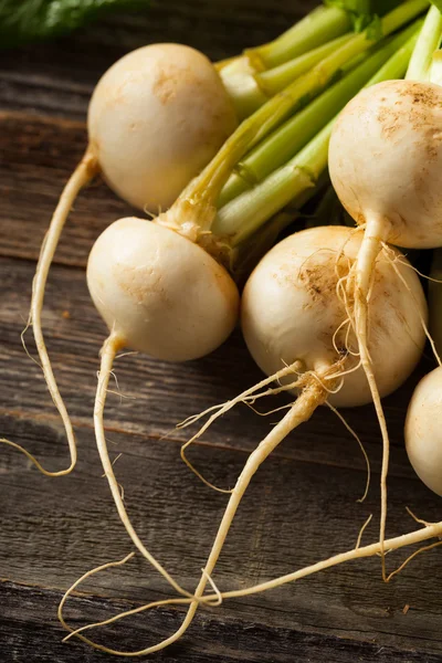 Raw Organic White Radishes — Stock Photo, Image