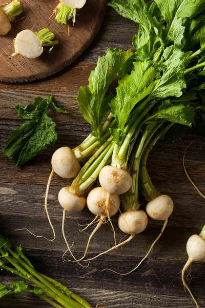 Rauwe biologische witte radijs — Stockfoto