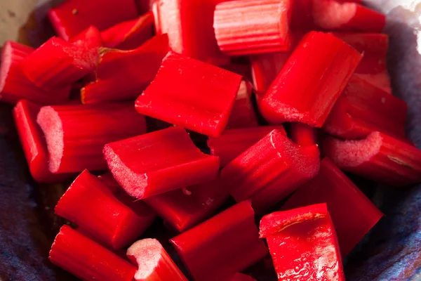 Rhubarb Merah Organik Mentah — Stok Foto