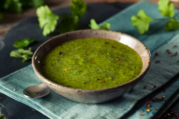 Salsa de quimichurri verde orgánica cruda — Foto de Stock