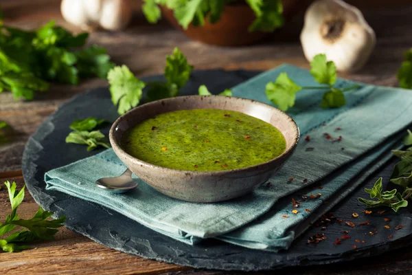 Molho Chimichurri verde orgânico cru — Fotografia de Stock