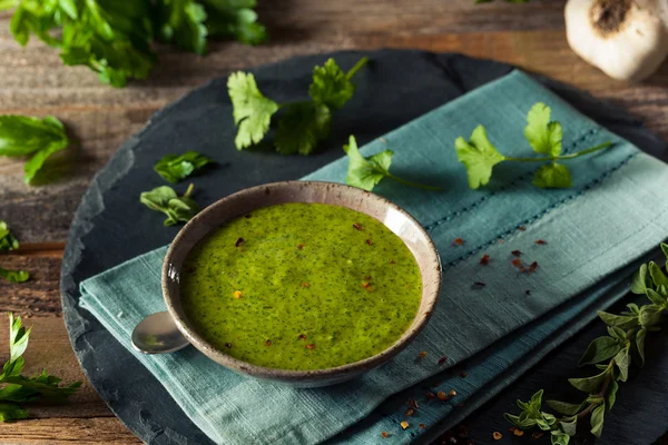 Nyers szerves zöld Chimichurri-szósz — Stock Fotó