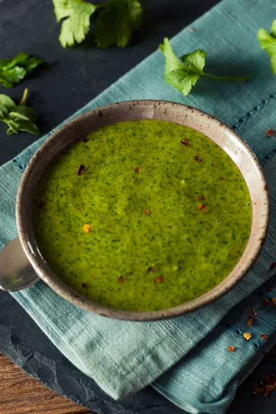 Salsa Chimichurri verde biologica cruda — Foto Stock