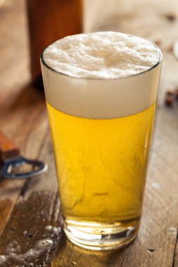 Canlandırıcı yaz Pint bira