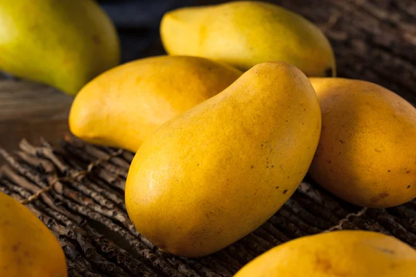 Råa ekologiska gula mango — Stockfoto