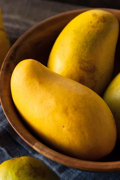 Mangos amarillos orgánicos crudos —  Fotos de Stock