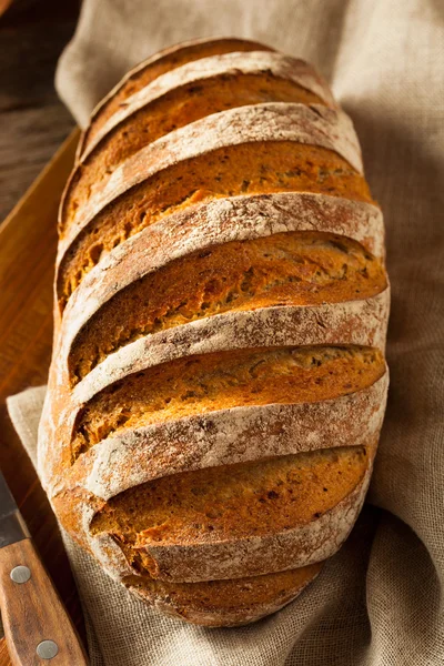 Pane di segale croccante fatto in casa — Foto Stock