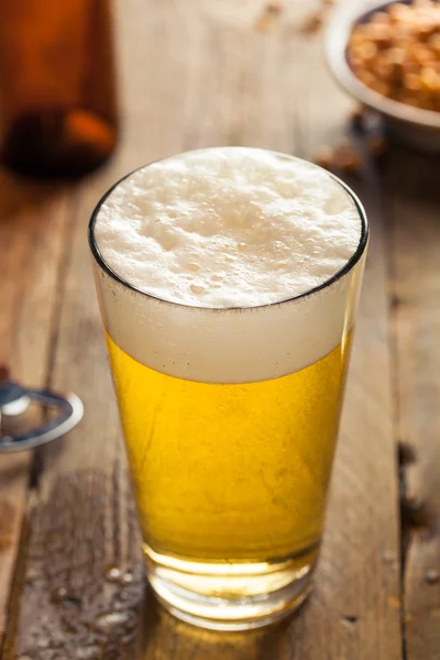 Refrescante cerveja de verão — Fotografia de Stock