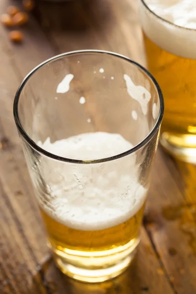 Refreshing Summer Pint of Beer — Stock Photo, Image