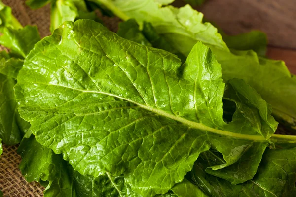 Verde nabo orgánico crudo — Foto de Stock