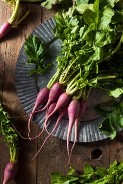 Ham organik mor turp