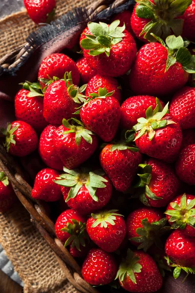 Rohe rote Bio-Erdbeeren — Stockfoto