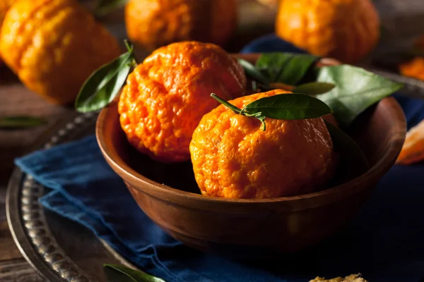 Naranjas de mandarín de pepita de oro orgánico crudo — Foto de Stock