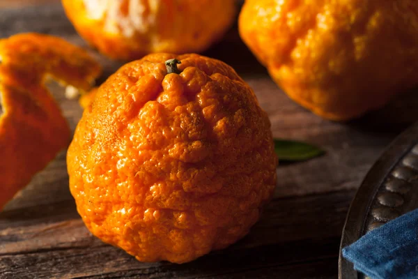 Raw Organic Gold Nugget Mandarin Oranges