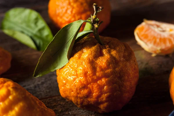 Surové organické zlatý valoun mandarinky — Stock fotografie