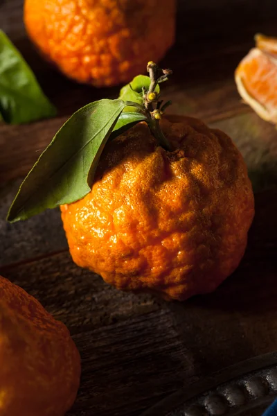 Oranges mandarines de pépites d'or bio crues — Photo