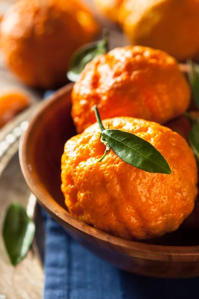 Сырые органические золотые самородки мандаринские апельсины — стоковое фото